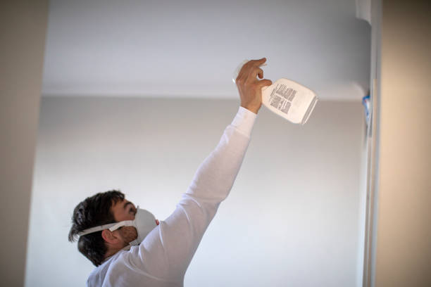 Best Emergency Mold Removal  in Atasdero, CA