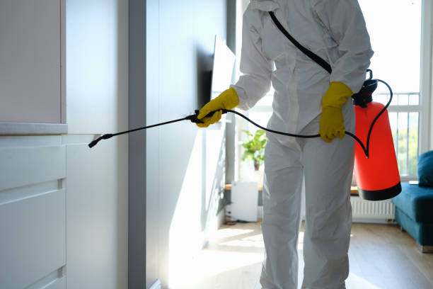 Best Home Mold Removal  in Atasdero, CA