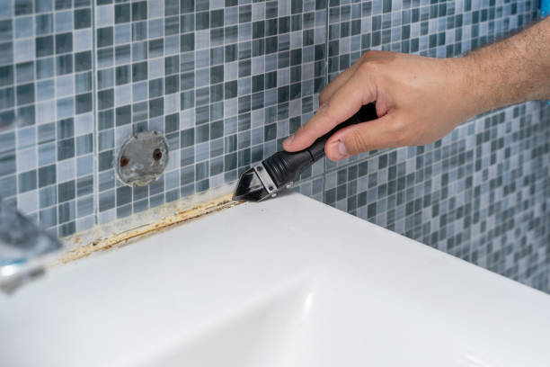 Best Emergency Mold Removal  in Atasdero, CA