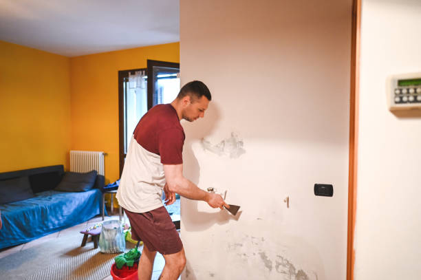 Professional Mold Removal in Atascadero, CA